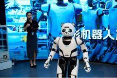 我们依托总分行量